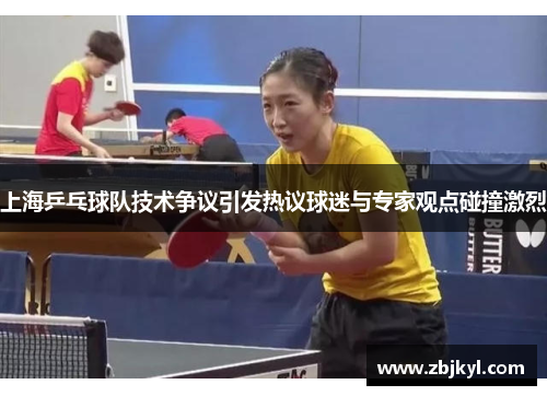 上海乒乓球队技术争议引发热议球迷与专家观点碰撞激烈