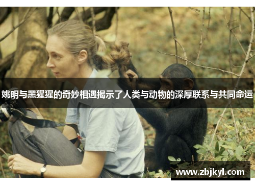 姚明与黑猩猩的奇妙相遇揭示了人类与动物的深厚联系与共同命运
