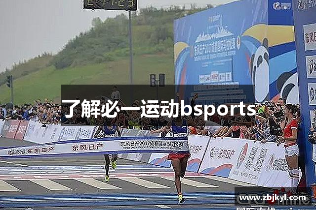 了解必一运动bsports